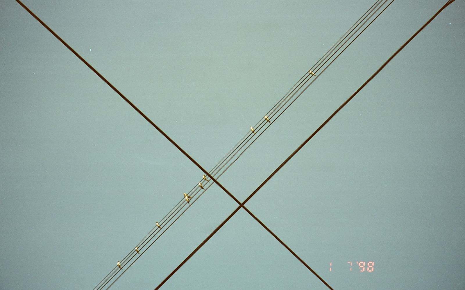 Overhead power and telecom lines crisscross against a plain sky with a timestamp visible